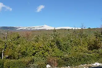 Vue sur le sommet entre le virage du bois et la route forestière de Perrache.