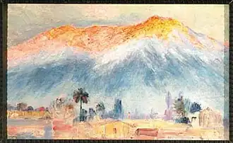 Paysage avec une grande montagne en fond de toile et un palmier du Chili, très haut, apparait dans une brume diffuse.