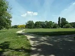 Photographie en couleurs d'une vaste pelouse naturelle avec des bosquets d'arbres.