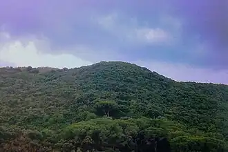 Image illustrative de l’article Monte Puccio