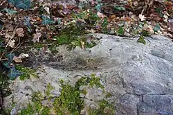 Photographie en couleurs d'une grosse pierre creusée d'une cuvette.