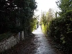 Ruelle goudronnée bordée de murs et de verdure