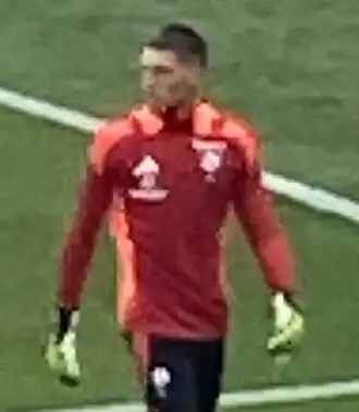 Image illustrative de l’article Robin Risser