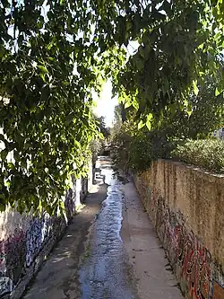 Au même endroit à l'automne.