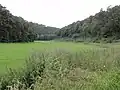 Paysage avec à gauche le bois de Girauhan, à droite le bois du Corrois.