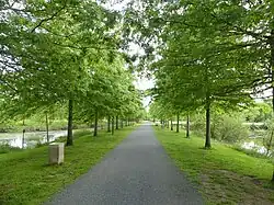 L'allée principale.