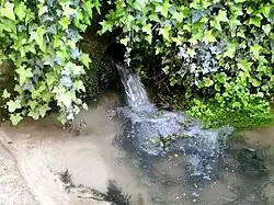 Photographie en couleurs d'un petit ruisseau débouchant à l'air libre après un parcours souterrain.
