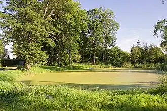 Morawa (Lidzbark Warmiński)