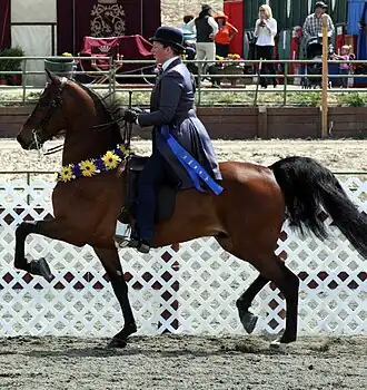 Morgan monté lors d'un show