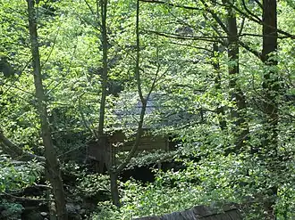 Eftimie Murgu (Caraș-Severin)