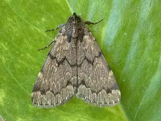 Description de cette image, également commentée ci-après