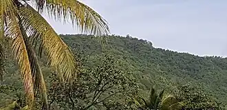 Vue du morne Capado depuis la pointe du Petit Bas-Vent.