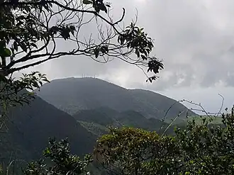 Vue du morne Léger depuis la Mamelle de Petit-Bourg.