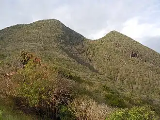 Morne Larcher et Croix Diamant.