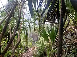 Les hauteurs du parc.