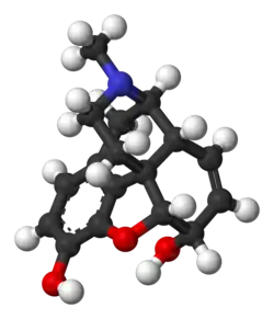 Image illustrative de l’article Morphine