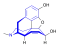 La structure dans l'espace de la morphine.