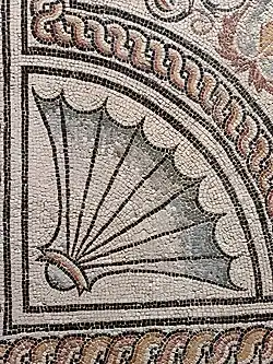 Détail du dégradé de bleu de la coquille en dix tons.