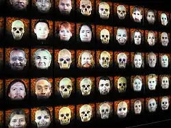 Œuvre vidéographique représentant la diversité de l'espèce humaine : un ensemble de visages alternent avec leurs cranes respectifs.