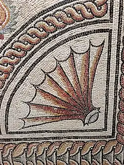 Détail du dégradé de rouge de la coquille en dix tons.