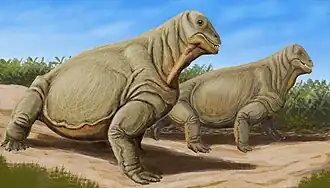 Reconstitution d'un Moschops capensis, un dinocéphale Tapinocephalidae qui cohabitait avec Anteosaurus.