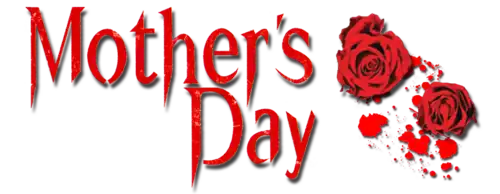 Description de l'image Mother's Day (film, 2010).png.