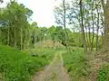 Mottes féodales dites Les Bourgs Heusas (XIe&nbsp;siècle) vue depuis le chemin d'accès ouest.