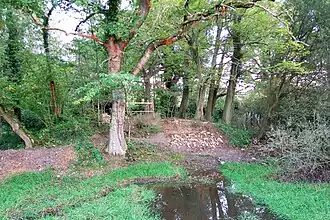 Motte féodale de Haltinne.