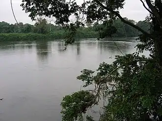 La rivière Ngounié à Mouila