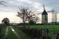 Champs et moulin à Saint-Cyr-des-Gâts.