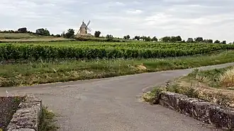 Le moulin à vent.