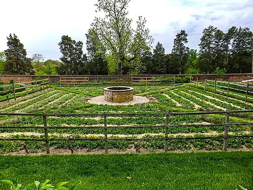 Jardin inférieur.