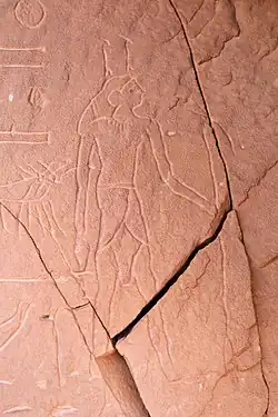 Igaï à la Montagne de l’eau, désert occidental.