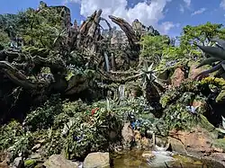 Cascade qui coule au milieu d'arbre et de petits arbustes.