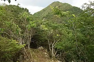 Vue du mont Mitake.