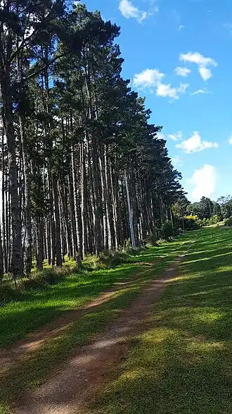 Mount Irvine