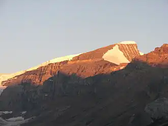 Vue du mont Kitchener depuis le parking des Icefields.