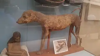 Image illustrative de l’article KV50