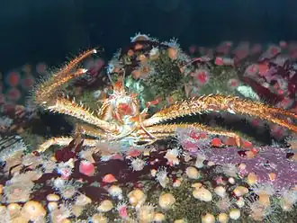 Description de cette image, également commentée ci-après