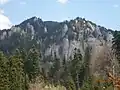 Des aiguilles dans les monts Ciucaș en Romanie.