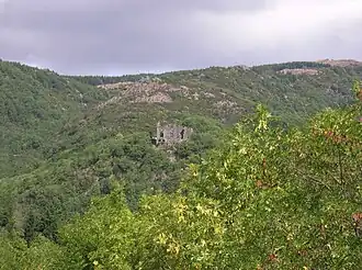 Vue du château sur son puech