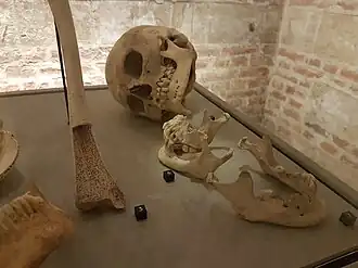 Ostéo-archéologie