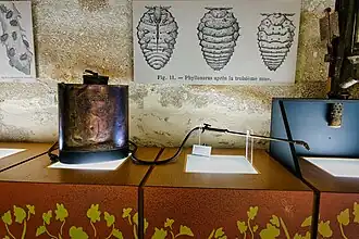 Pulvérisateur l'éclair