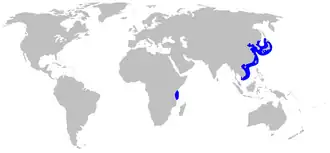 Description de l'image Mustelus manazo distmap.png.