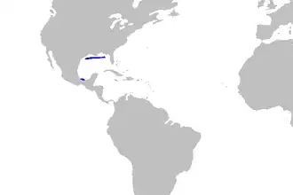 Description de l'image Mustelus sinusmexicanus distmap.png.