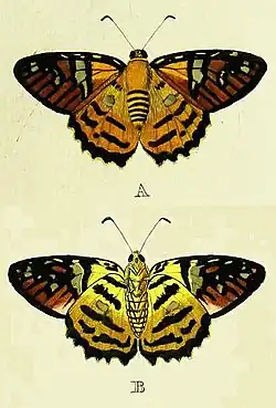 Description de cette image, également commentée ci-après