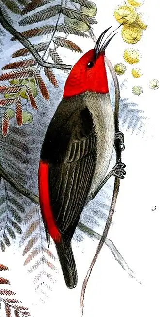 Description de cette image, également commentée ci-après