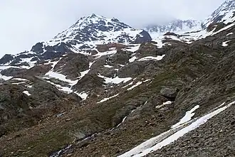 Le Petit Nesthorn depuis l'ouest en aval du glacier du Nest.