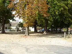 La place des Marronniers en 2011.