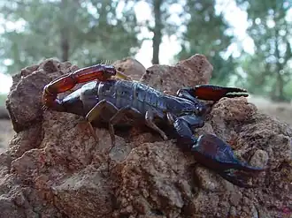 Description de cette image, également commentée ci-après